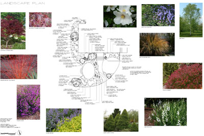 Planning and Consulting with the Arborist