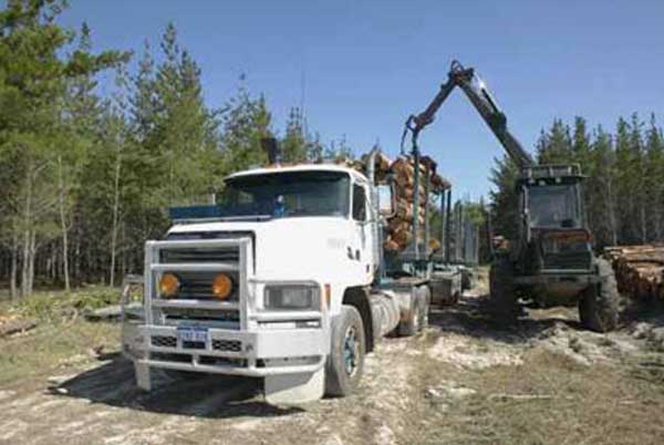 Lot Clearing in Chicago western suburbs